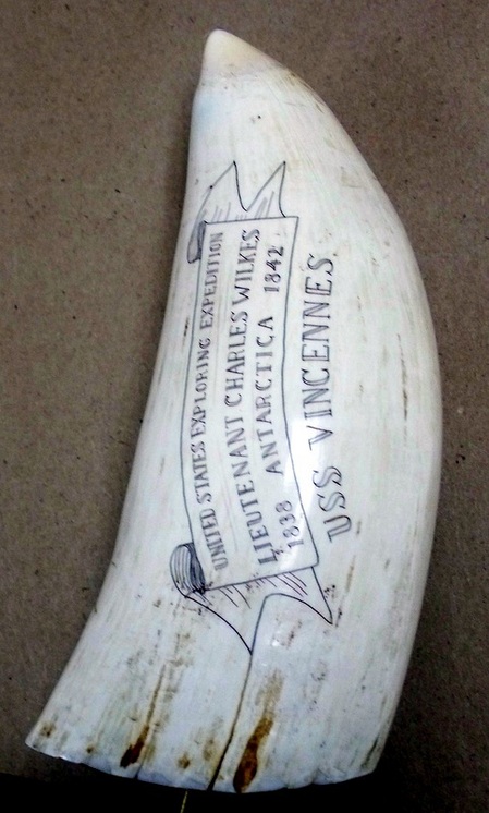 USS Vincennes Scrimshaw