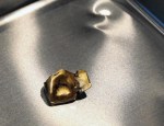 A gold tooth discovered on a Pacific island could be that of Japanese Cmdr. Isoroku Yamamoto. (Terrence Antonio James / Chicago Tribune)